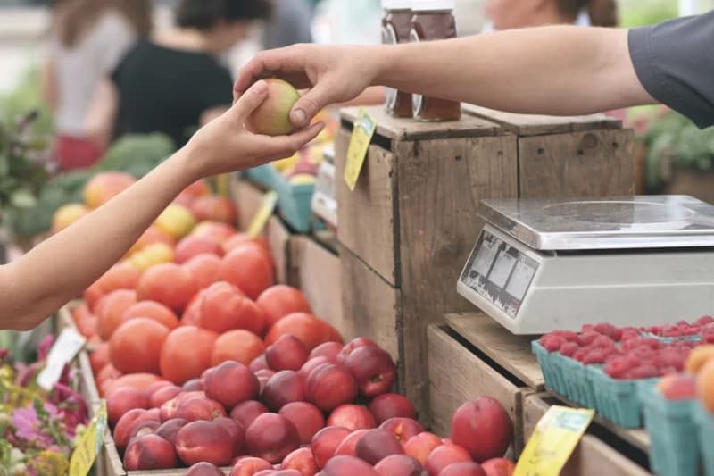 Quick Guide to Determine SNAP Eligibility