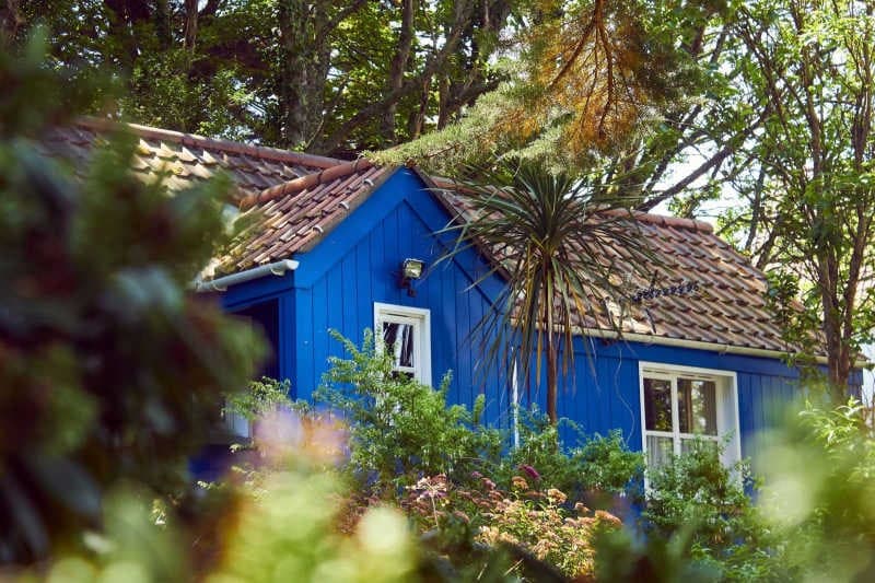 Reverse Mortgage: All the Facts.